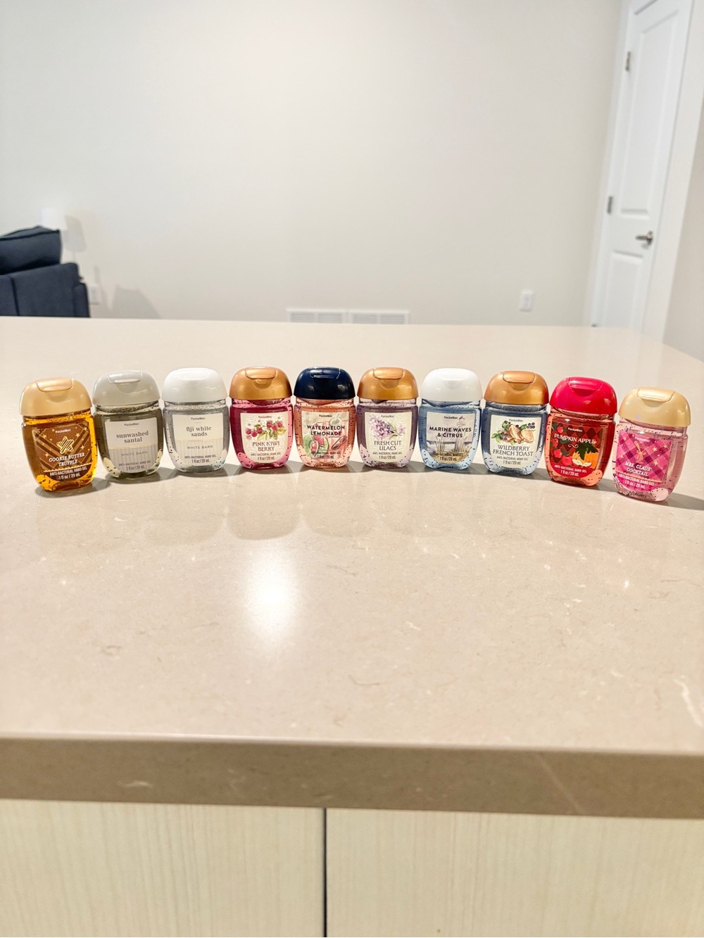 Bath & Body Works PocketBac Bundle Lot | 10 Mixed Scents Gift Set